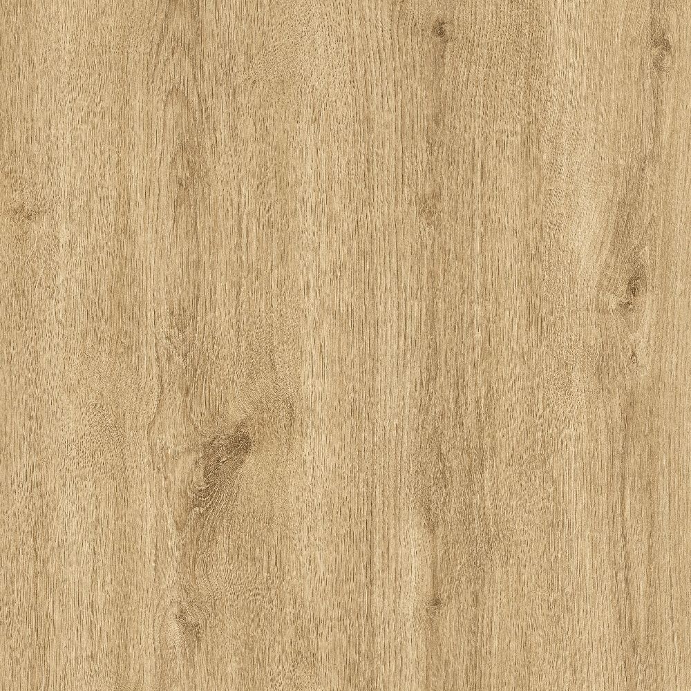 Dąb Carpenter