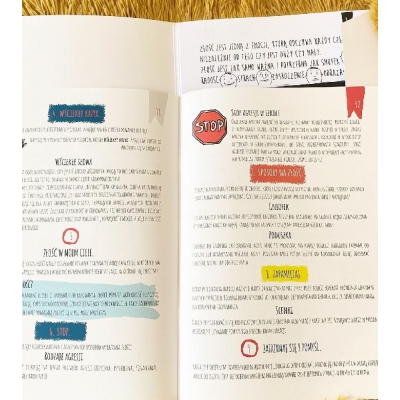 SPOSOBY NA ZŁOŚĆ - KARTY PRACY (KSI255)