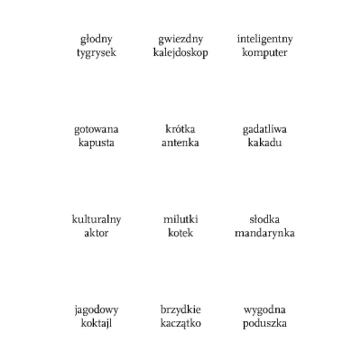 GADATLIWA KAKADU - ZESTAW GIER LOGOPEDYCZNYCH /GŁOSKI T, K, G, D