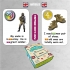 FUN CARD ENGLISH ARTICLES (CRE002)