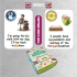 FUN CARD ENGLISH ARTICLES (CRE002)