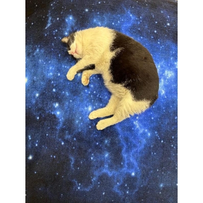 SENSORYCZNY DYWAN ŚWIATŁOWODOWY NIEBO NOCĄ 140x140 CM (SEN052)