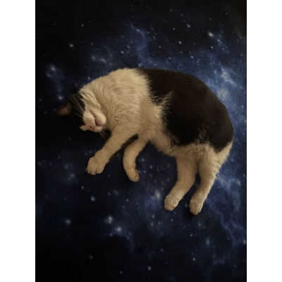 SENSORYCZNY DYWAN ŚWIATŁOWODOWY NIEBO NOCĄ 140x140 CM (SEN052)