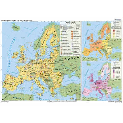 MAPA ŚCIENNA UNIA EUROPEJSKA - MAPA GOSPODARCZA (MER203)