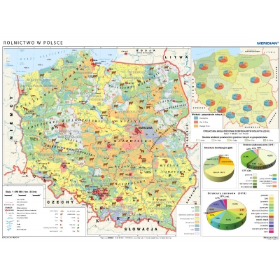 MAPA ŚCIENNA POLSKI ROLNICTWO - UPRAWY I STRUKTURA UŻYTKOWANIA ZIEMI (MER106)