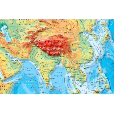 DWUSTRONNA MAPA ŚCIENNA ŚWIATA FIZYCZNA Z ELEMENTAMI EKOLOGII /MAPA HIPSOMETRYCZNA DO ĆWICZEŃ /DUO 1:26.000.000 (MER002)