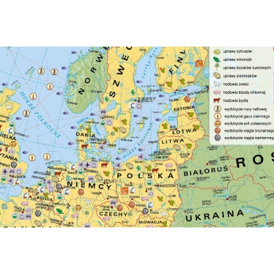 MAPA ŚCIENNA UNIA EUROPEJSKA - MAPA GOSPODARCZA (MER203)