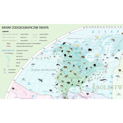 MAPA ŚCIENNA ŚWIATA KRAINY ZOOGEOGRAFICZNE (MER020)