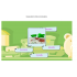 EDUTERAPEUTICA LUX LOGOPEDIA SPECTRUM - ROTACYZM (LOG189-2)