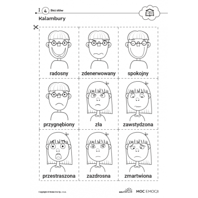 EDUSENSUS MOC EMOCJI - PROGRAM MULTIMEDIALNY (NEP024)