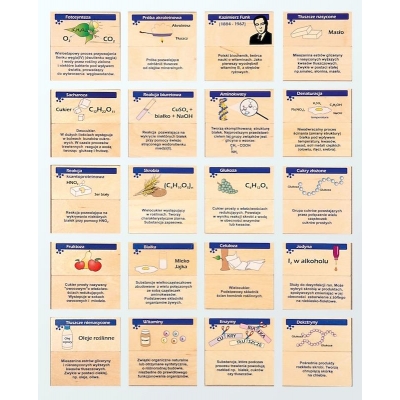 CHEMICZNE MEMORY. MIĘDZY CHEMIĄ A BIOLOGIĄ (CHE 954)