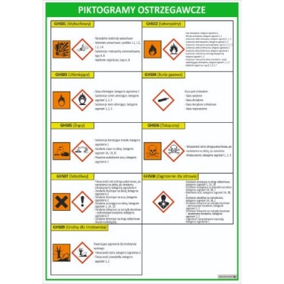 LOGISTYKA - INFORMACJA W LOGISTYCE. ZESTAW 10 PLANSZ DYDAKTYCZNYCH (PLA316-3)