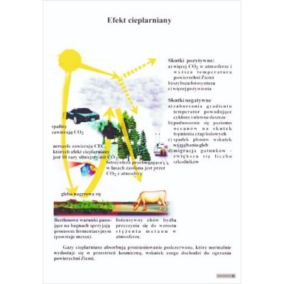 EFEKT CIEPLARNIANY PLANSZA (BIO205)