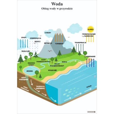 WODA. OBIEG WODY W PRZYRODZIE PLANSZA (PLA550)