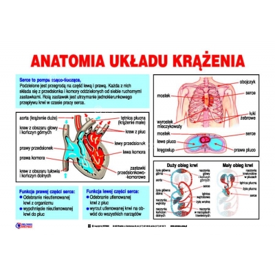 PIERWSZA POMOC ZESTAW 21 PLANSZ /TABLIC  (PLA166)