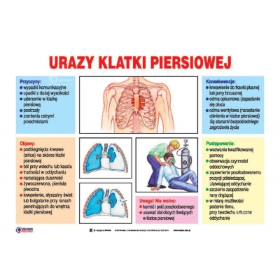 PIERWSZA POMOC ZESTAW 21 PLANSZ /TABLIC  (PLA166)