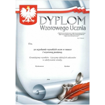 DYPLOM WZOROWEGO UCZNIA (DYP073)