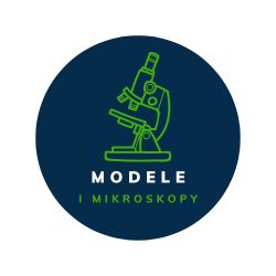 Modele i mikroskopy