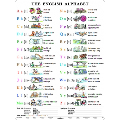 THE ENGLISH ALPHABET PLANSZA DWUSTRONNA  (PLA199)