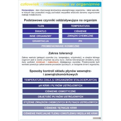 RÓWNOWAGA W ORGANIZMIE PLANSZA  (PLA430)