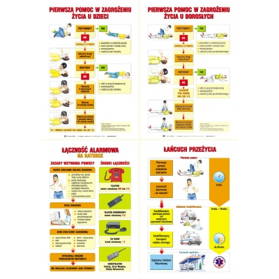 PIERWSZA POMOC W NAGŁYCH PRZYPADKACH  ZESTAW PLANSZ/TABLIC (PLA176)