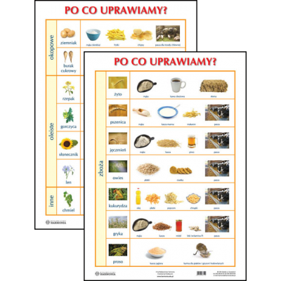 PO CO UPRAWIAMY? PLANSZA DWUSTRONNA (PLA327)