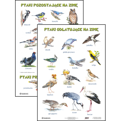 PTAKI ODLATUJĄCE NA ZIMĘ / PTAKI POZOSTAJĄCE NA ZIMĘ / PTAKI PRZYLATUJĄCE NA ZIMĘ PLANSZA DWUSTRONNA (PLA365)