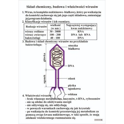 SKŁAD, BUDOWA I WŁAŚCIWOŚCI WIRUSÓW PLANSZA (PLA486)