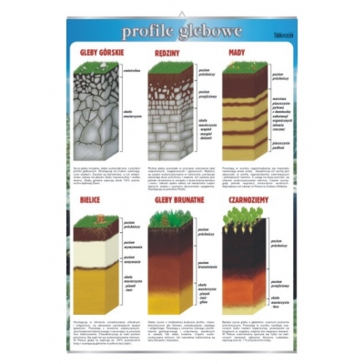 PLANSZA PROFILE GLEBOWE (BIO372)