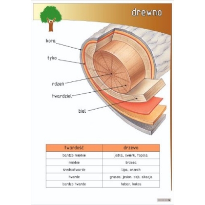 DREWNO PLANSZA  (PLA468)