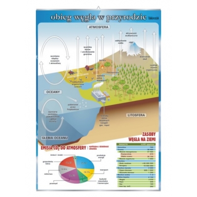 PLANSZA OBIEG WĘGLA W PRZYRODZIE (CHE924)