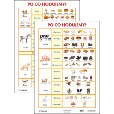 PO CO HODUJEMY? PLANSZA DWUSTRONNA H (PLA326)