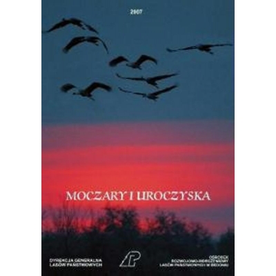 DVD MOCZARY I UROCZYSKA (KAS334)