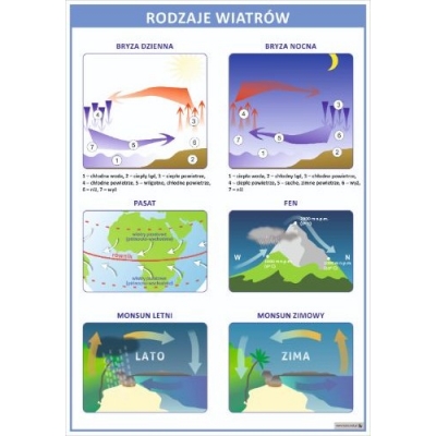 RODZAJE WIATRÓW PLANSZA  (PLA464)