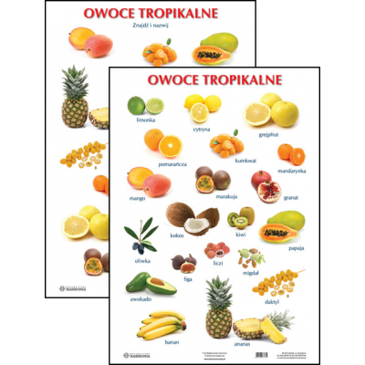 OWOCE TROPIKALNE PLANSZA DWUSTRONNA (PLA324)