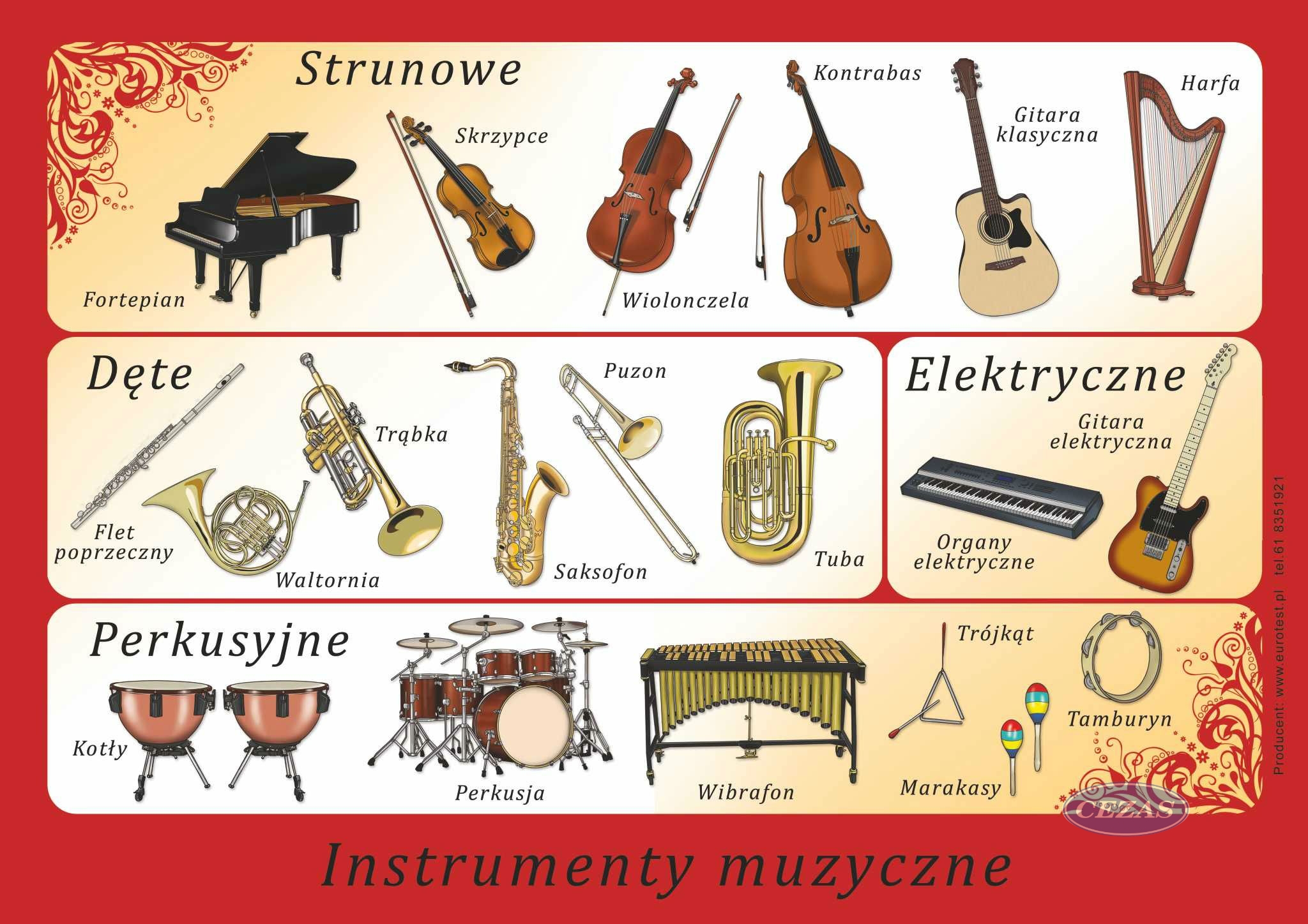 Instrumenty Muzyczne Zestaw Plansz E Pla123